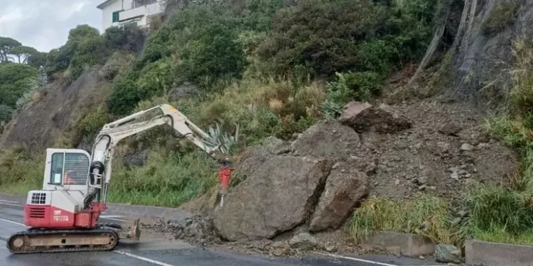 Per il maltempo crolla un albero su un’auto, morto un militare