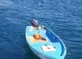 Sbarchi nel sud Sardegna, migranti costretti a tuffarsi in mare da scafisti