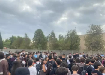 Topi e blatte nelle scuole di Terramaini, studenti Cagliari in sciopero