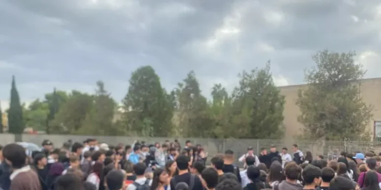 Topi e blatte nelle scuole di Terramaini, studenti Cagliari in sciopero