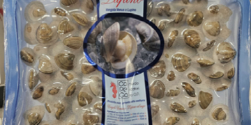 Richiamate vongole per un parametro microbiologico non conforme