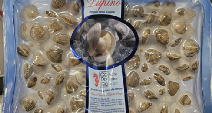 Richiamate vongole per un parametro microbiologico non conforme